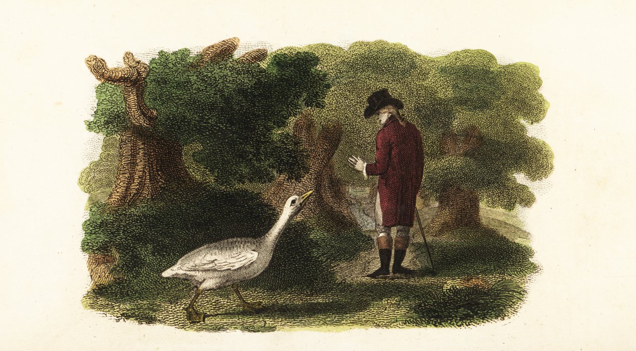De mannelijke gans Jacquot en zijn menselijke vriend, een Franse heer door English School