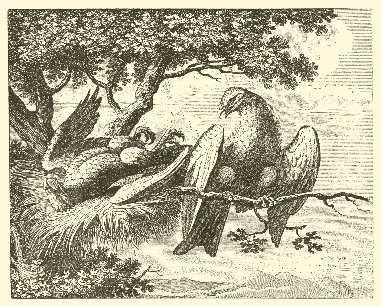 De zieke vlieger (gravure) door English School