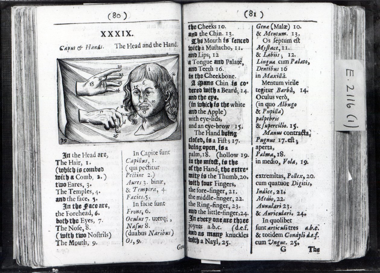 Twee pagina