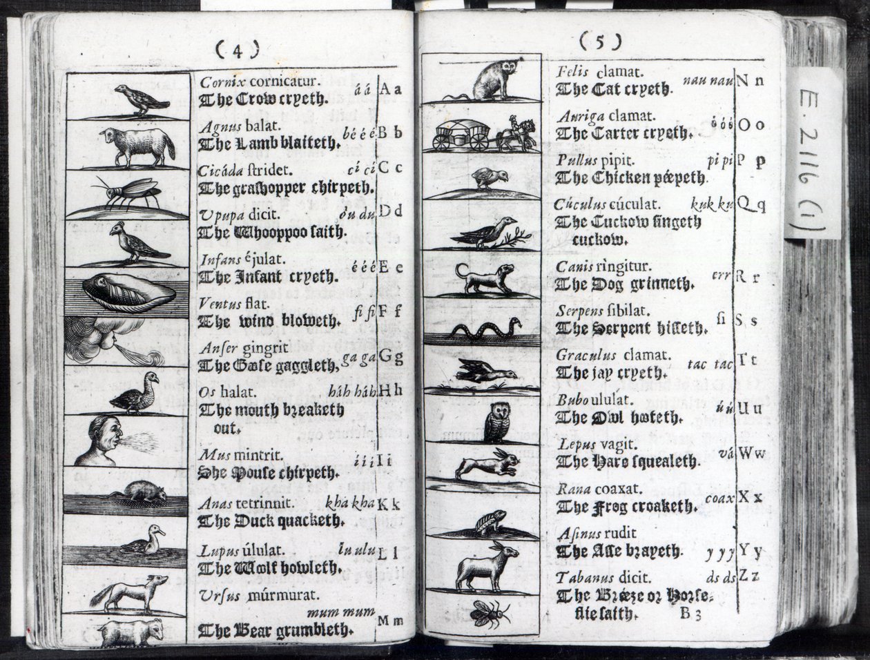 Twee pagina