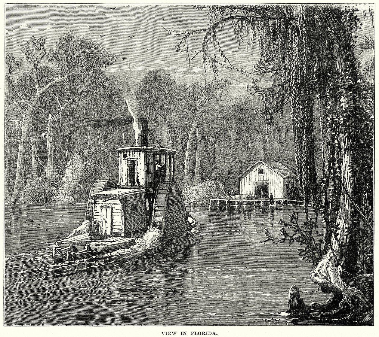 Uitzicht in Florida (gravure) door English School