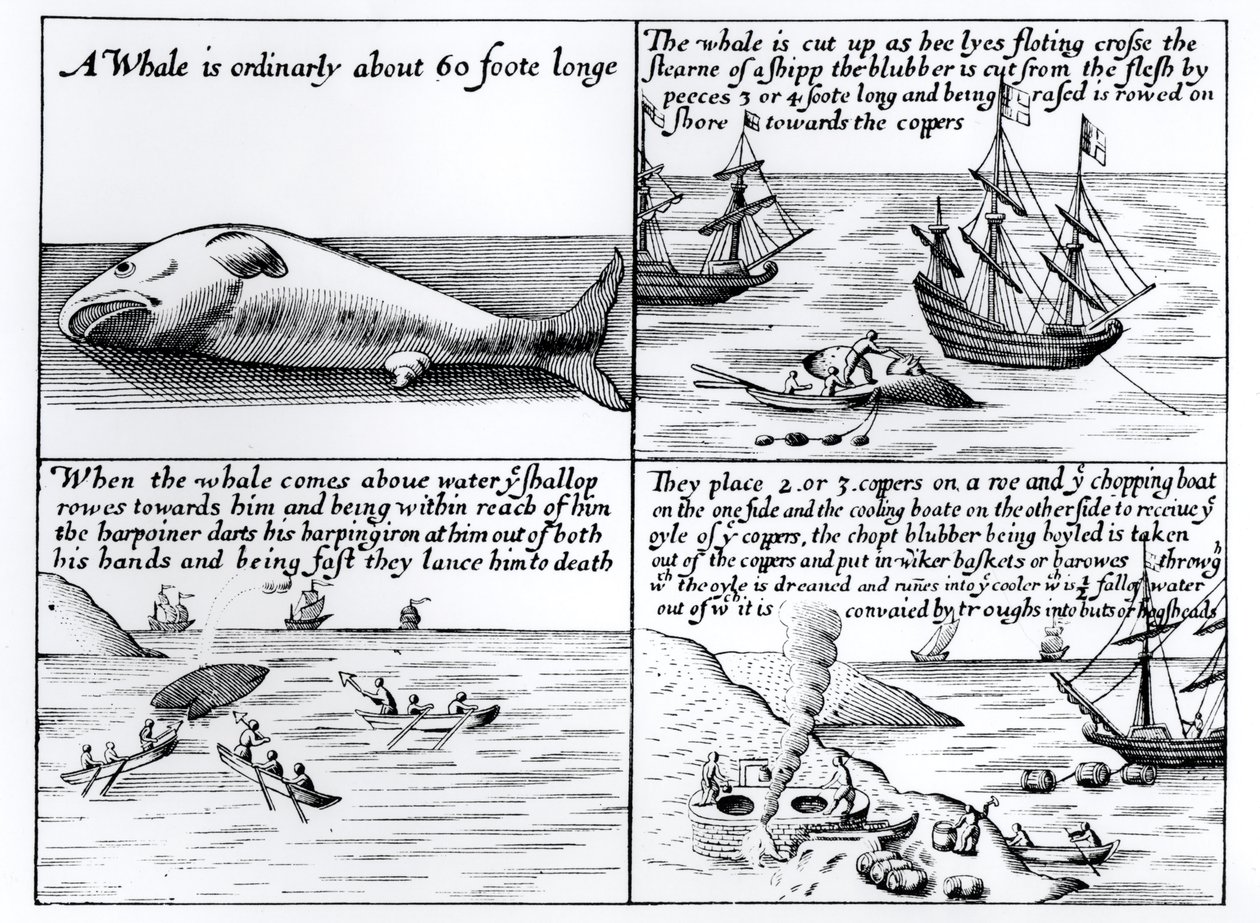 Walvisvangst bij Spitsbergen in 1611 door English School