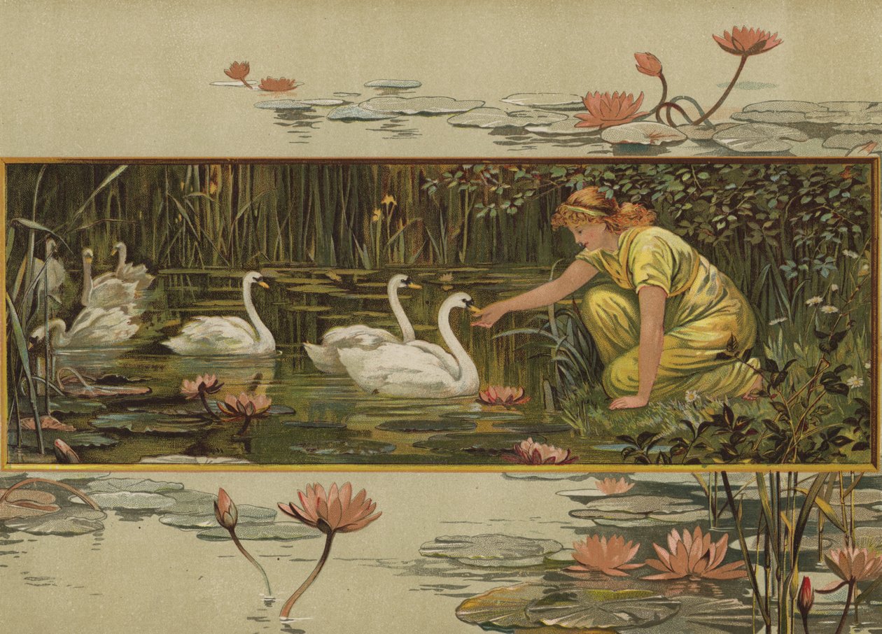 Waar de waterlelies groeien (chromolitho) door English School