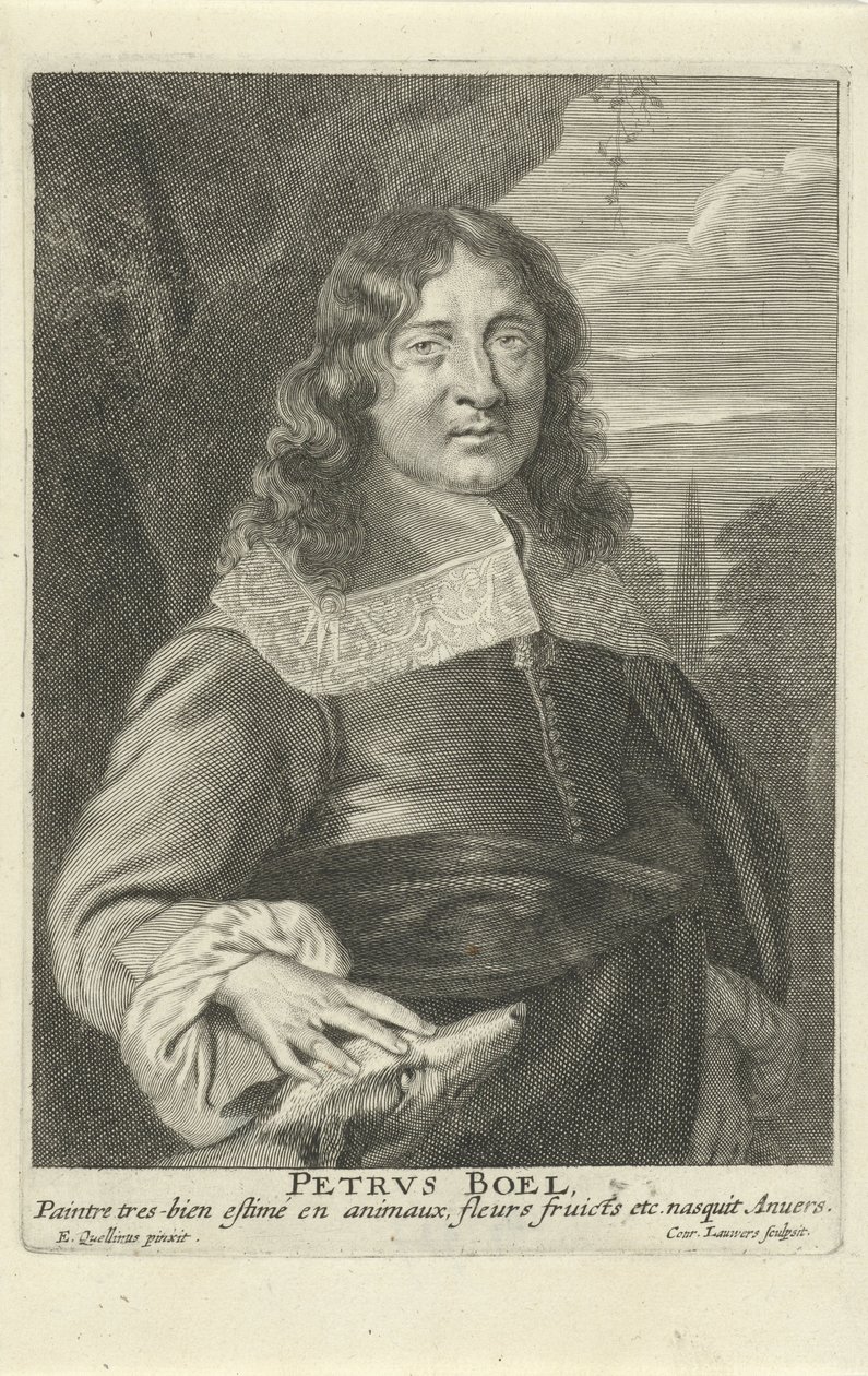 Peeter Boel, gegraveerd door Conrad Lauwers, c.1649-62 door Erasmus (after) Quellinus