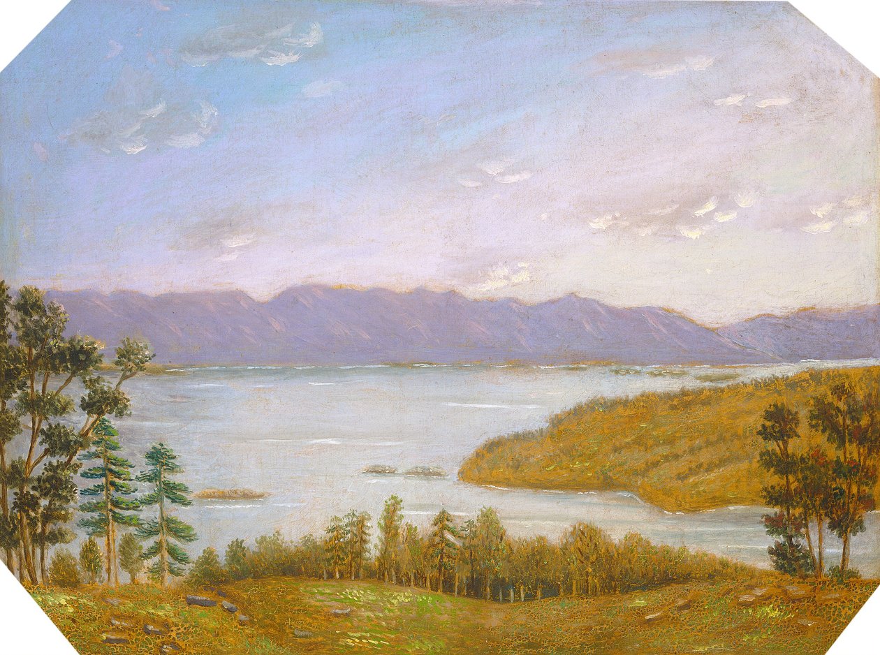Leverett Pond door Erastus Salisbury Field