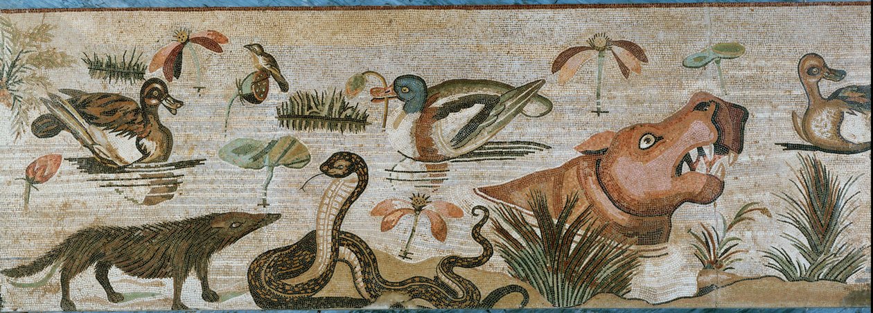 Waterdieren en andere dieren door Erich Lessing