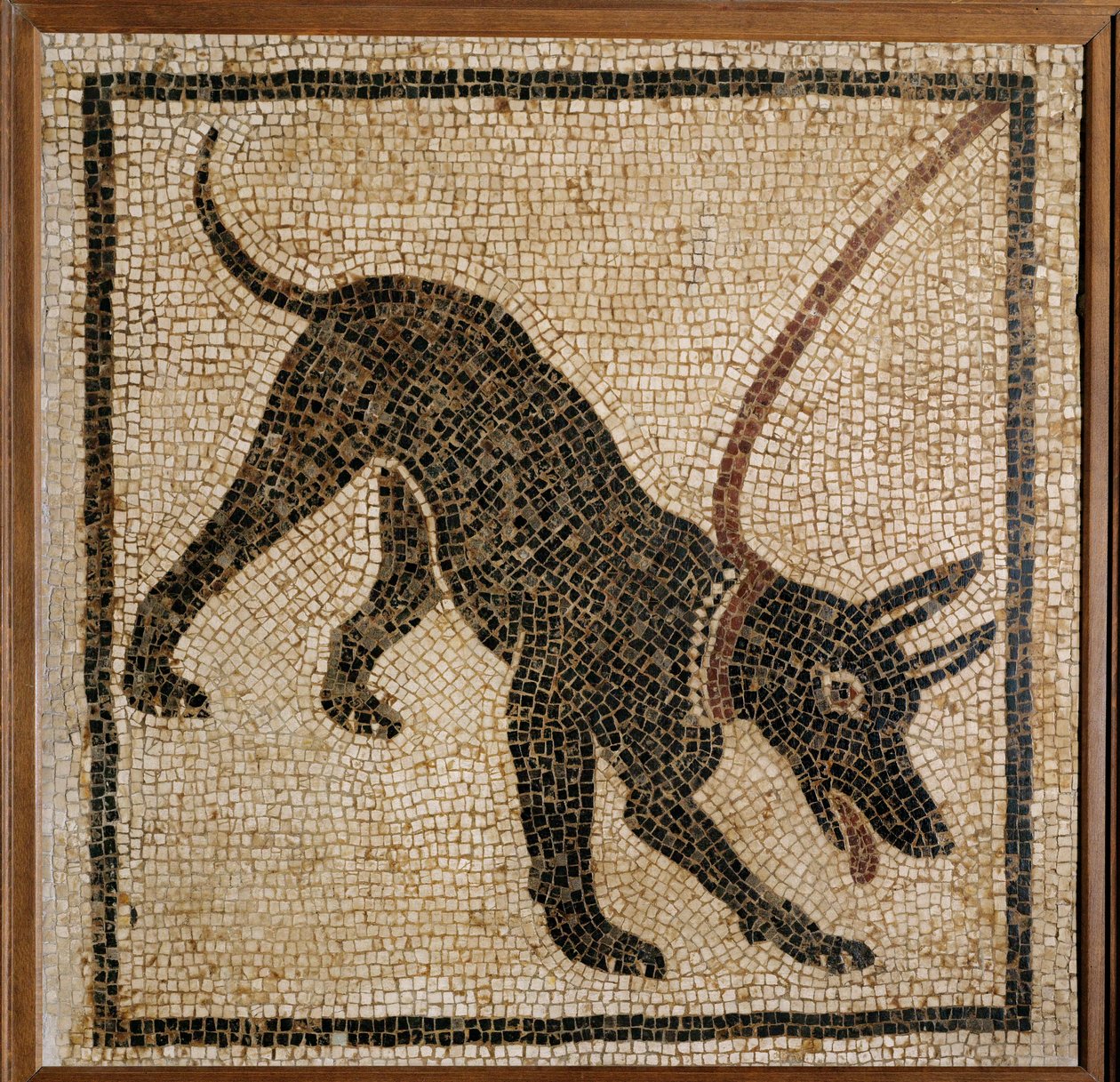 Cave Canem - pas op voor de hond, drempelmozaïek uit Pompeii door Erich Lessing