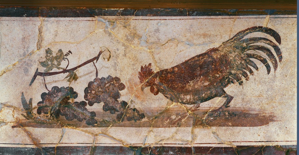 Haan en druiven, Herculaneum, Italië (fresco) door Erich Lessing