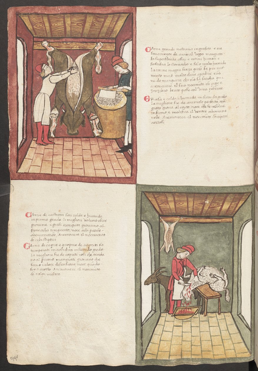 Volledige pagina: tekst en miniaturen: " Carne grande nostrana ingrasata " (miniatuur) door Erich Lessing