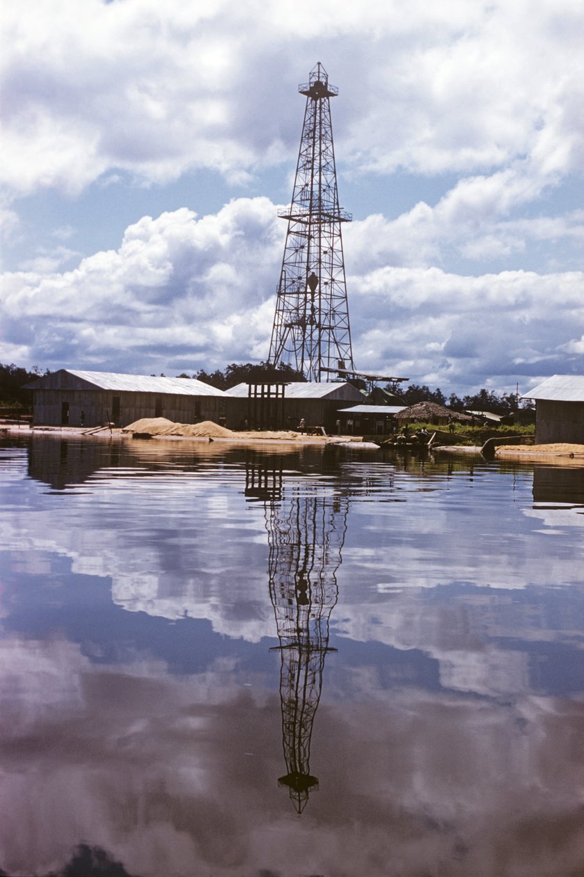 Shell en British Petroleum Company, Nigerdelta naar Port Harcourt, Nigeria, Afrika door Erich Lessing