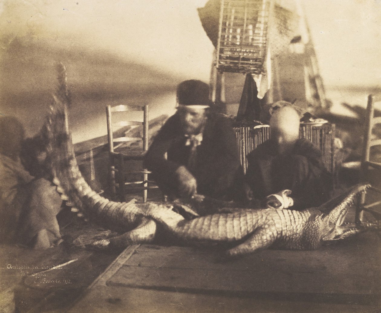 Autopsie van de eerste krokodil aan boord, Opper-Egypte, 1852 door Ernest Benecke