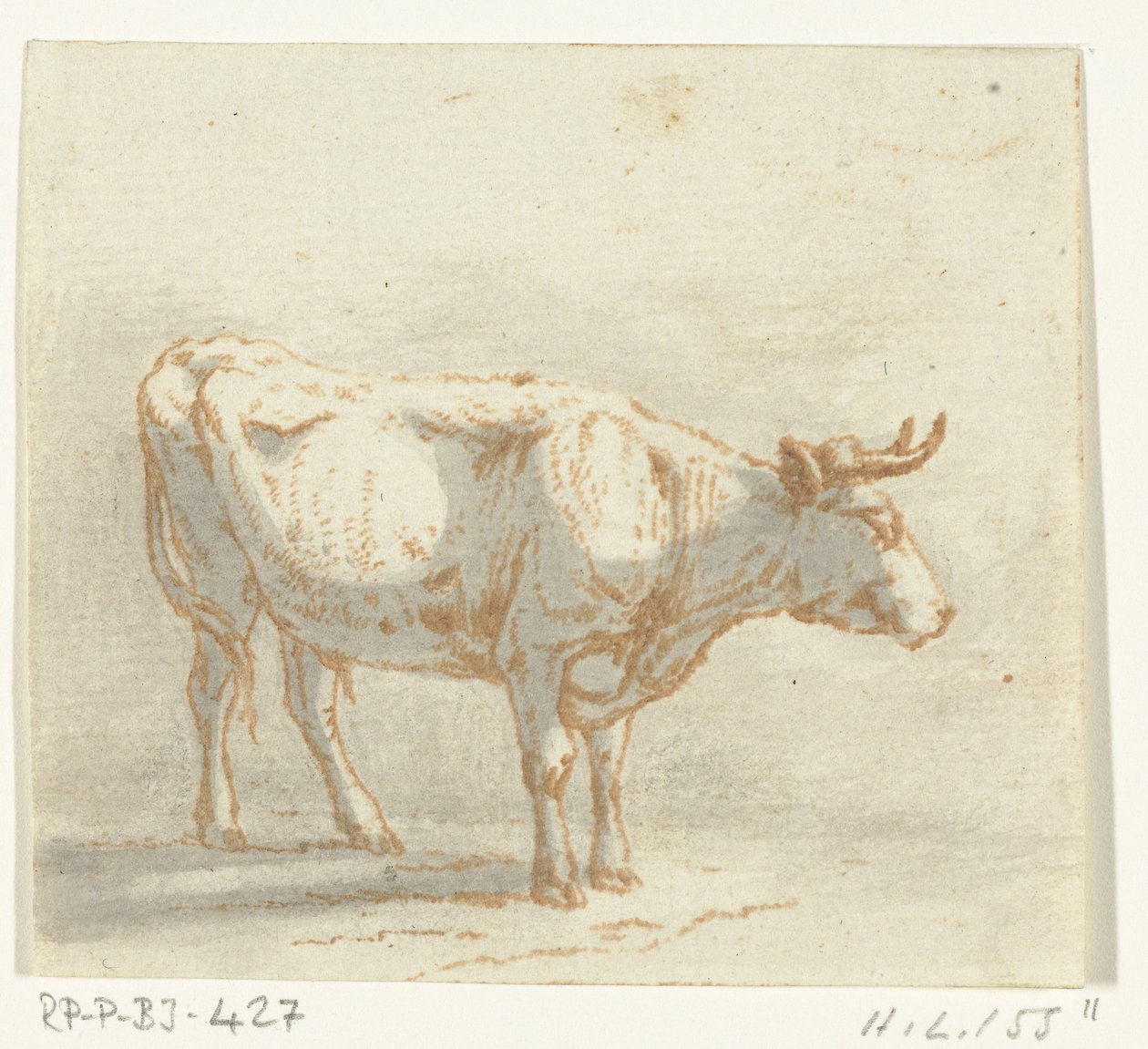 Stier staand, naar rechts door Ernst Willem Jan Bagelaar