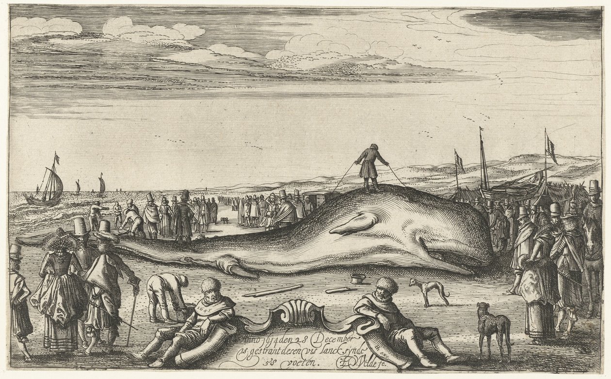 Gestrande potvis op het strand te Noordwijk, 1614 door Esaias van de Velde