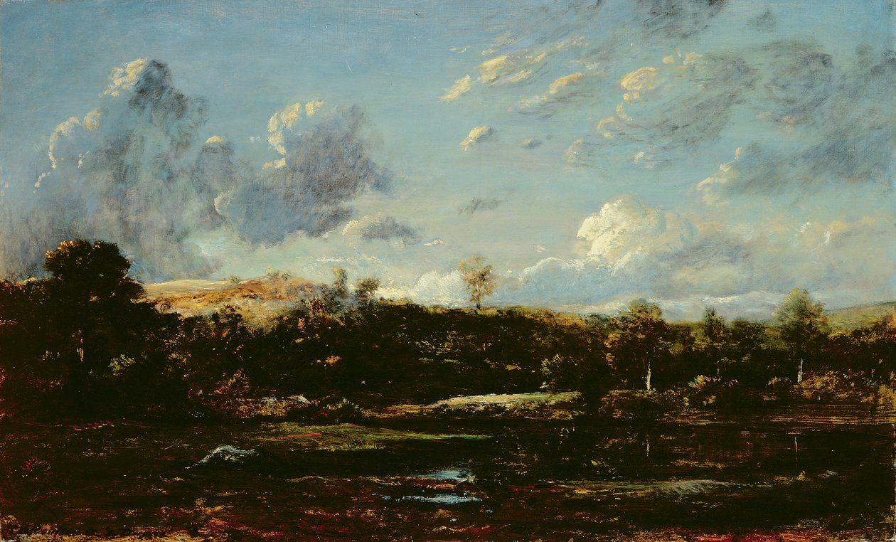 In de Landes door Etienne and Dupre Jules  Rousseau
