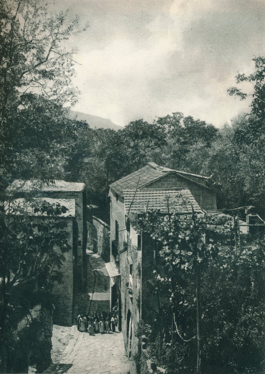 Smal straatje, Capri, Italië door Eugen Poppel