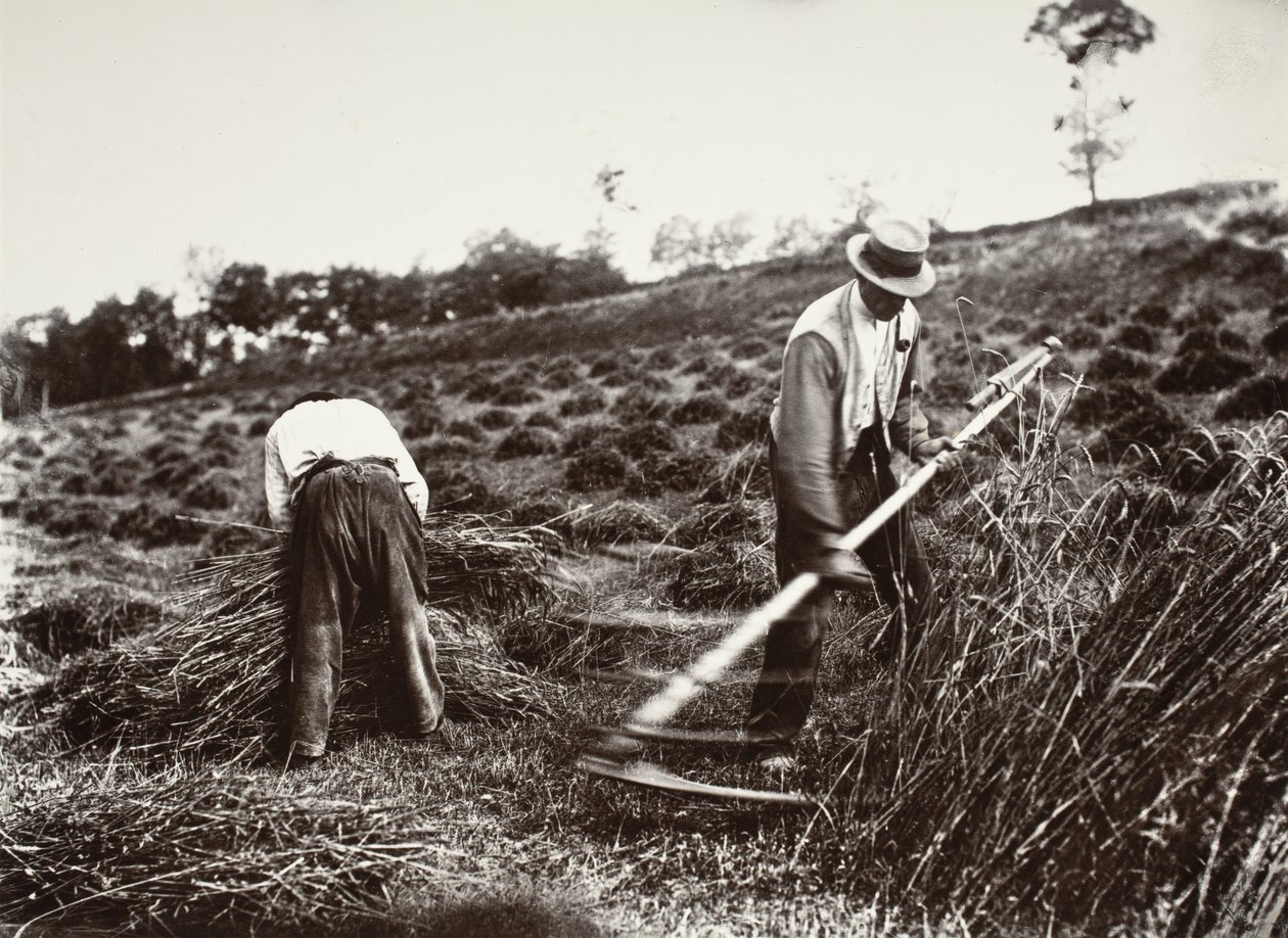 Faucheurs, Somme door Eugène Atget