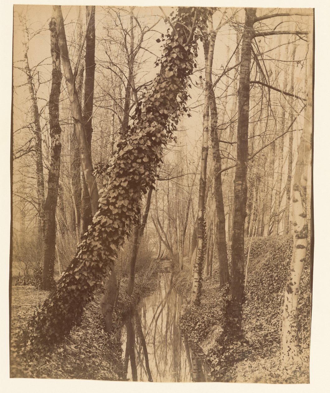 De Bièvre, Boulevard d