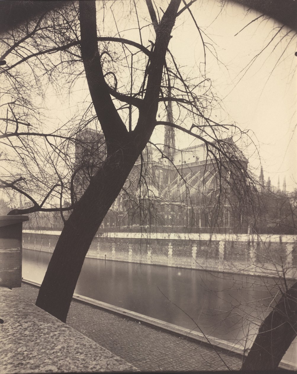 Notre-Dame,1922 (foto) door Eugène Atget