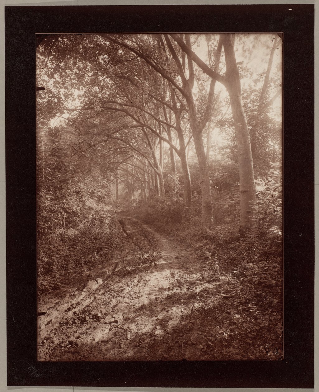 Park van Sceaux door Eugène Atget