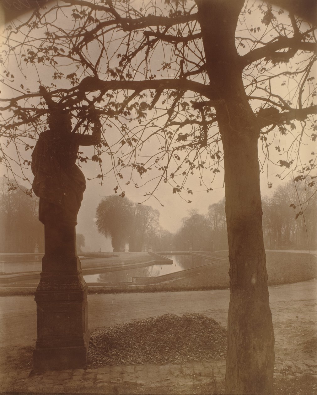 Saint-Cloud,1926 (foto) door Eugène Atget