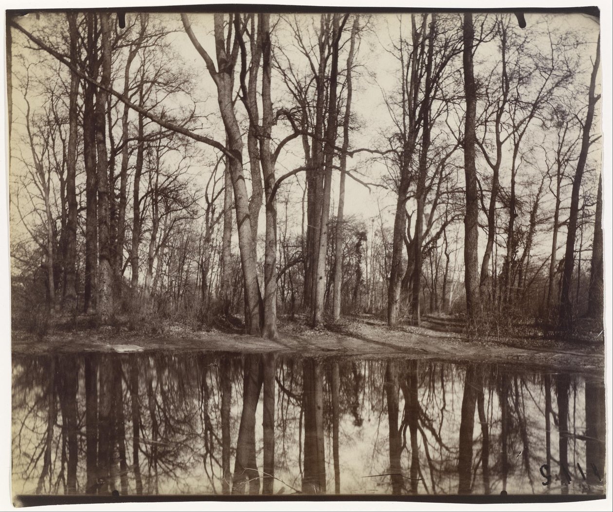 Saint-Cloud, tuinen van het kasteel van Philippe, hertog van Orléans door Eugène Atget