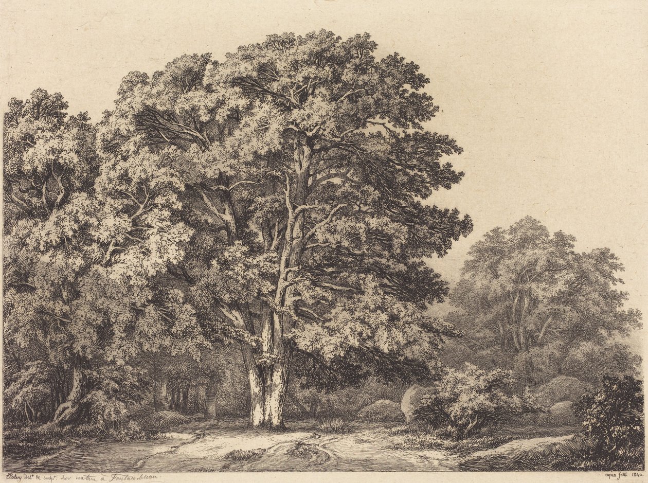De ingang van een bos door Eugene Bléry
