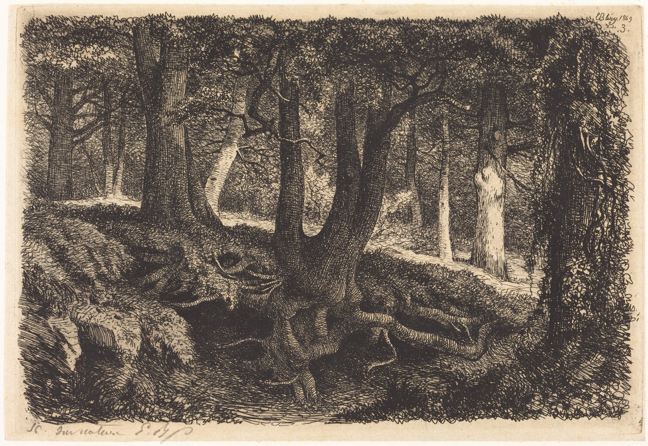 De boom met wortels (Tree with Roots) door Eugene Bléry