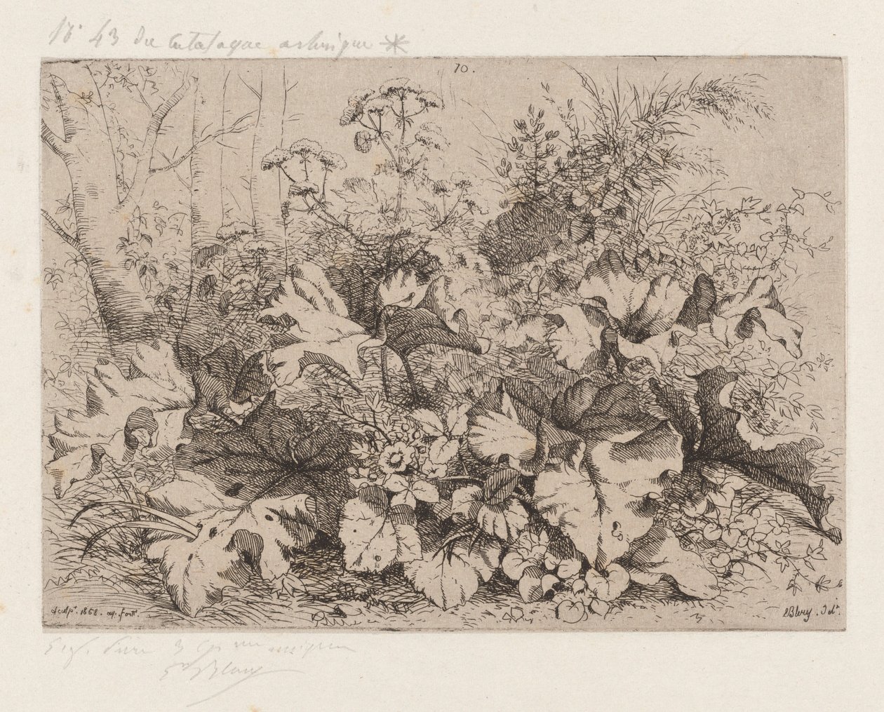 Klit in bloei, 1858 door Eugene Bléry