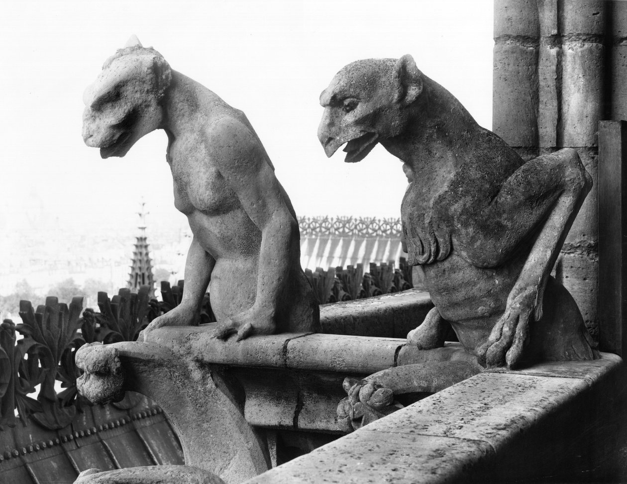 Waterspuwers van de balustrade van de Grande Galerie van de westelijke gevel, replica van een 12e-eeuws origineel door Eugene Emmanuel Viollet le Duc