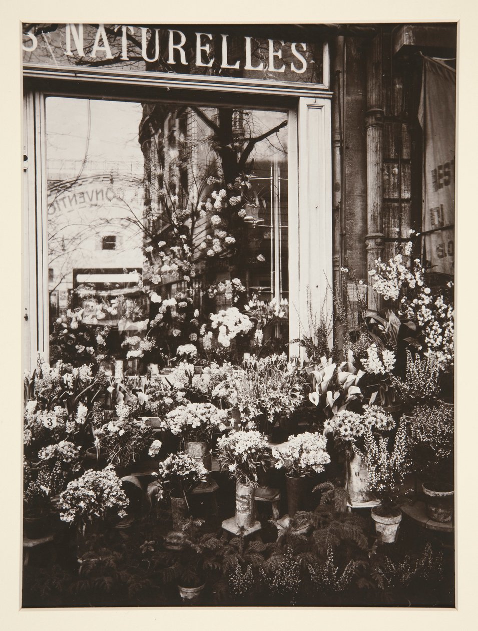 Bloemenwinkel door Eugène Atget