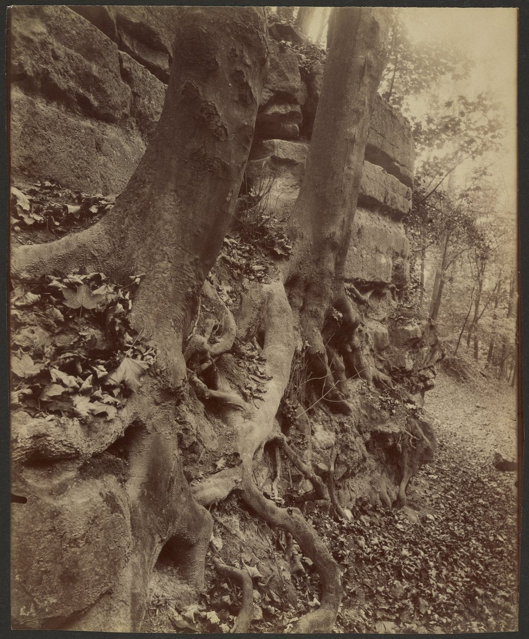 Saint-Cloud Park door Eugène Atget