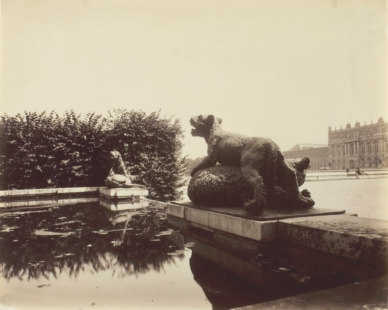 Versailles, Fontein van het Punt van de Dag, Tijger die een Beer Overweldigt door Houzeau door Eugène Atget