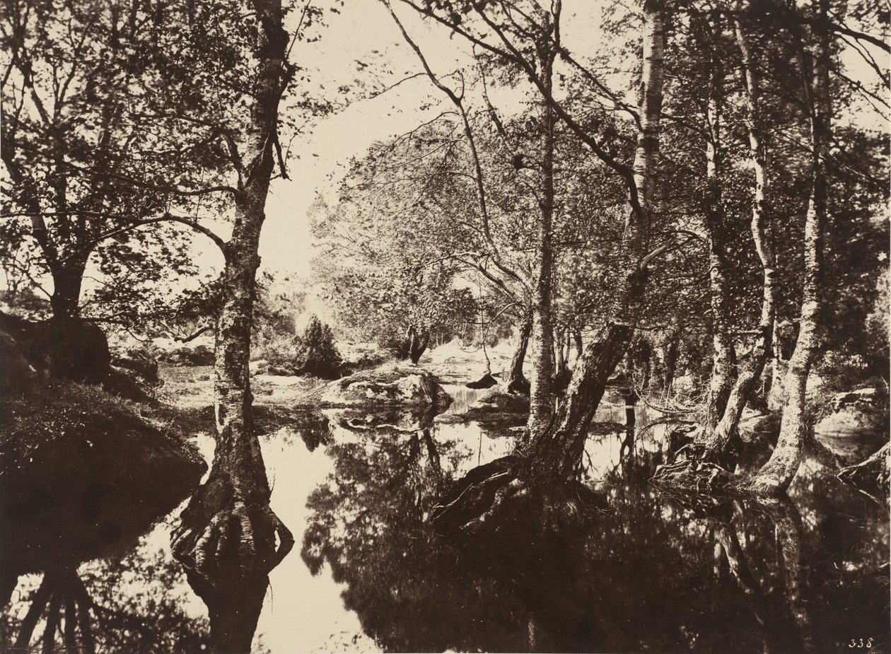 Belle-Croix,jaren 1860 (foto) door Eugène Cuvelier