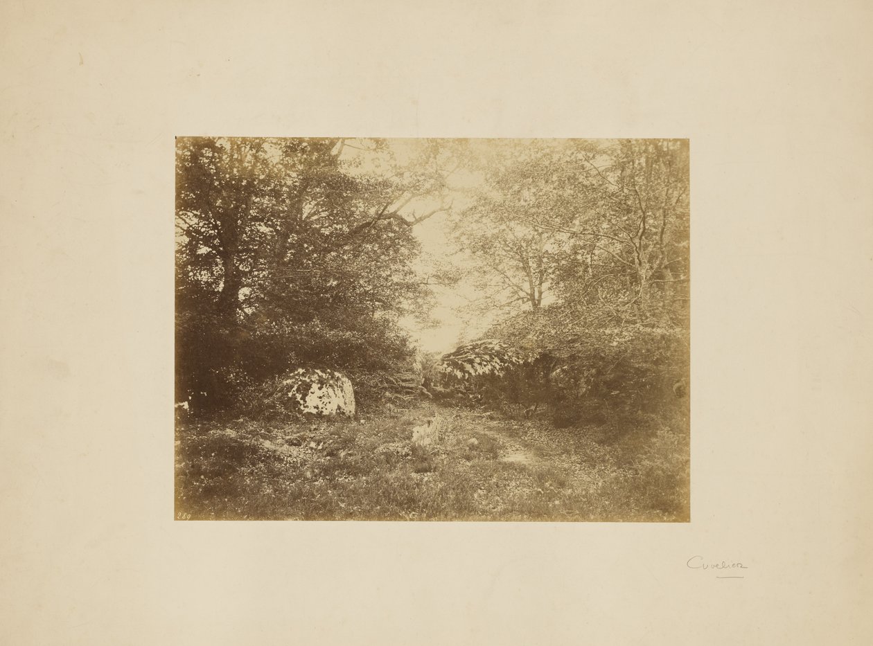 [Landschapsstudie] door Eugène Cuvelier