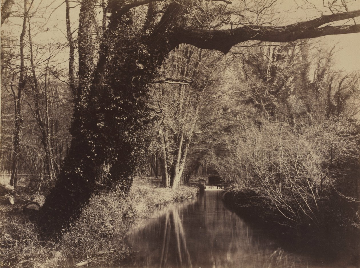Parc de Courances, eind jaren 1850 (foto) door Eugène Cuvelier