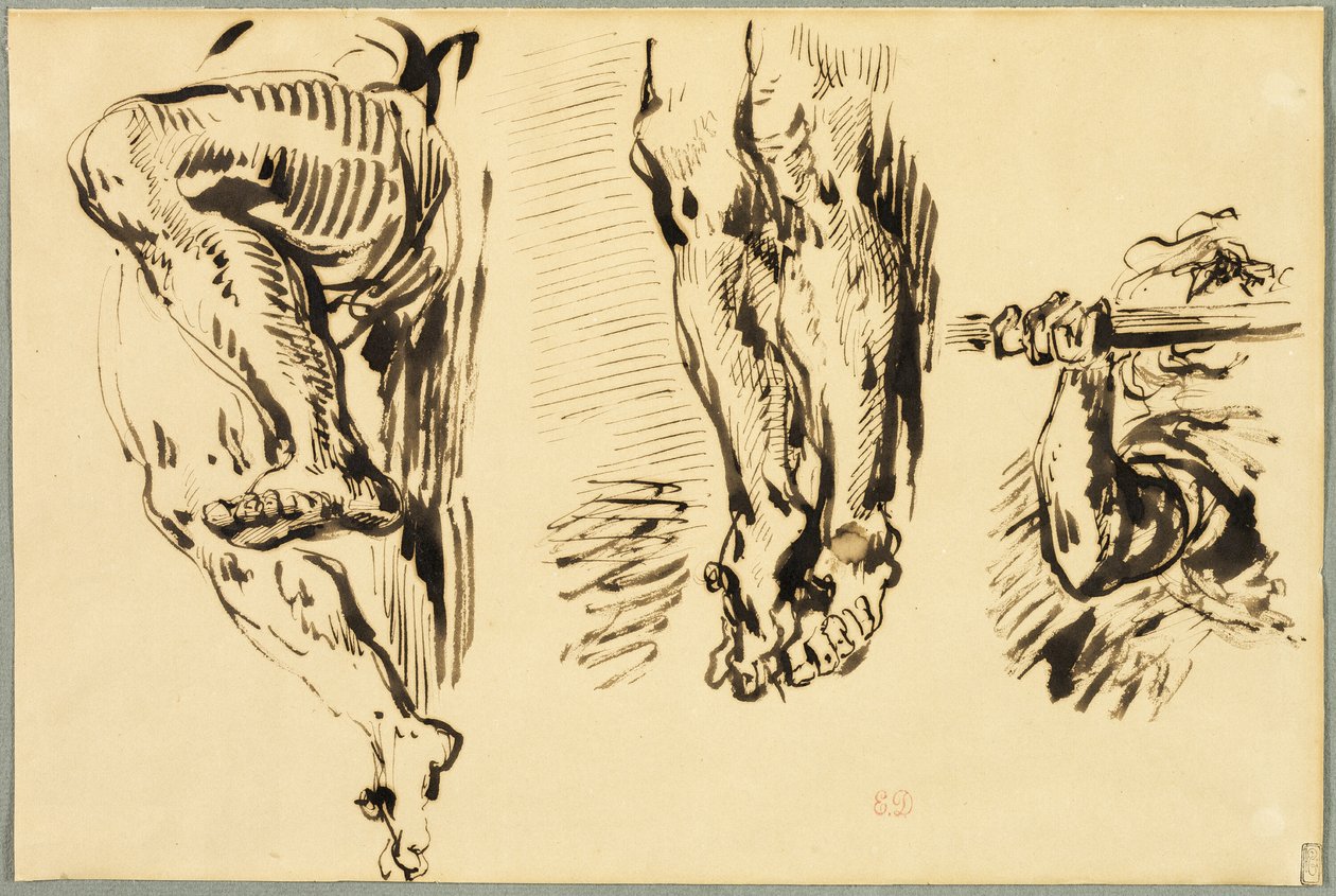 Studie van armen en benen van de gekruisigde Christus door Eugène Delacroix