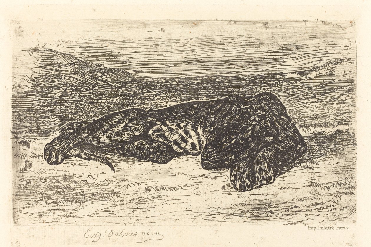 Tijger die Slaapt in de Woestijn door Eugène Delacroix