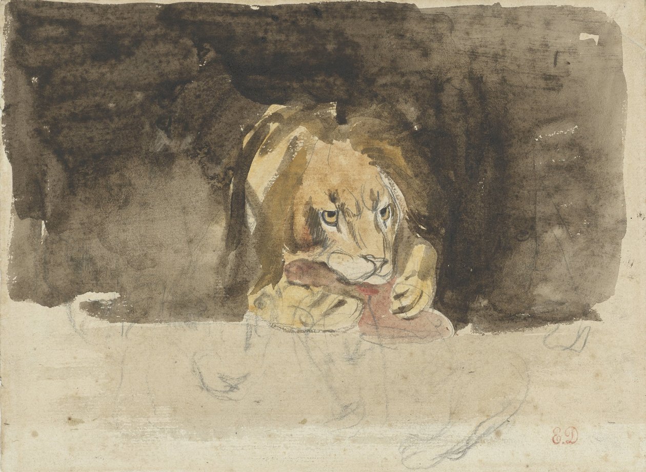 Vleesetende leeuw, van voren gezien, uitkomende tegen een donker fond door Eugène Delacroix