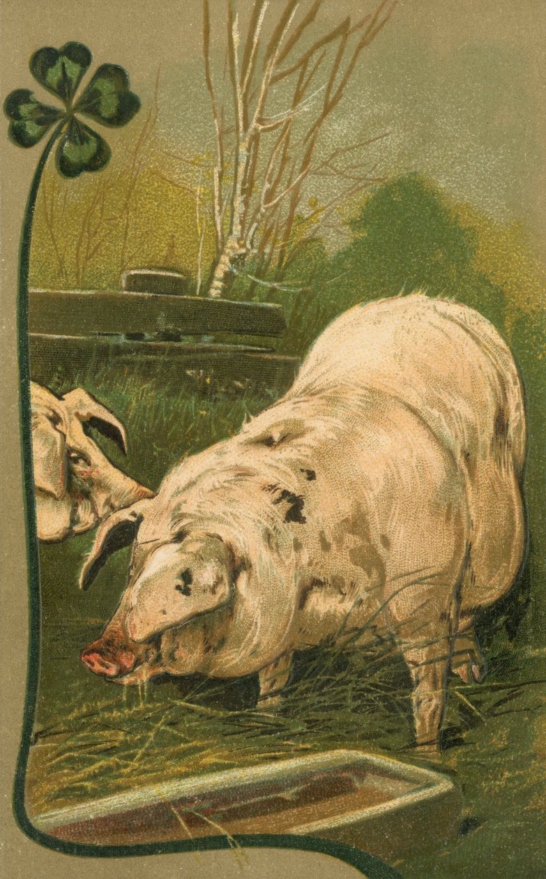 Een varken in klaver (kleurenlitho) door European School
