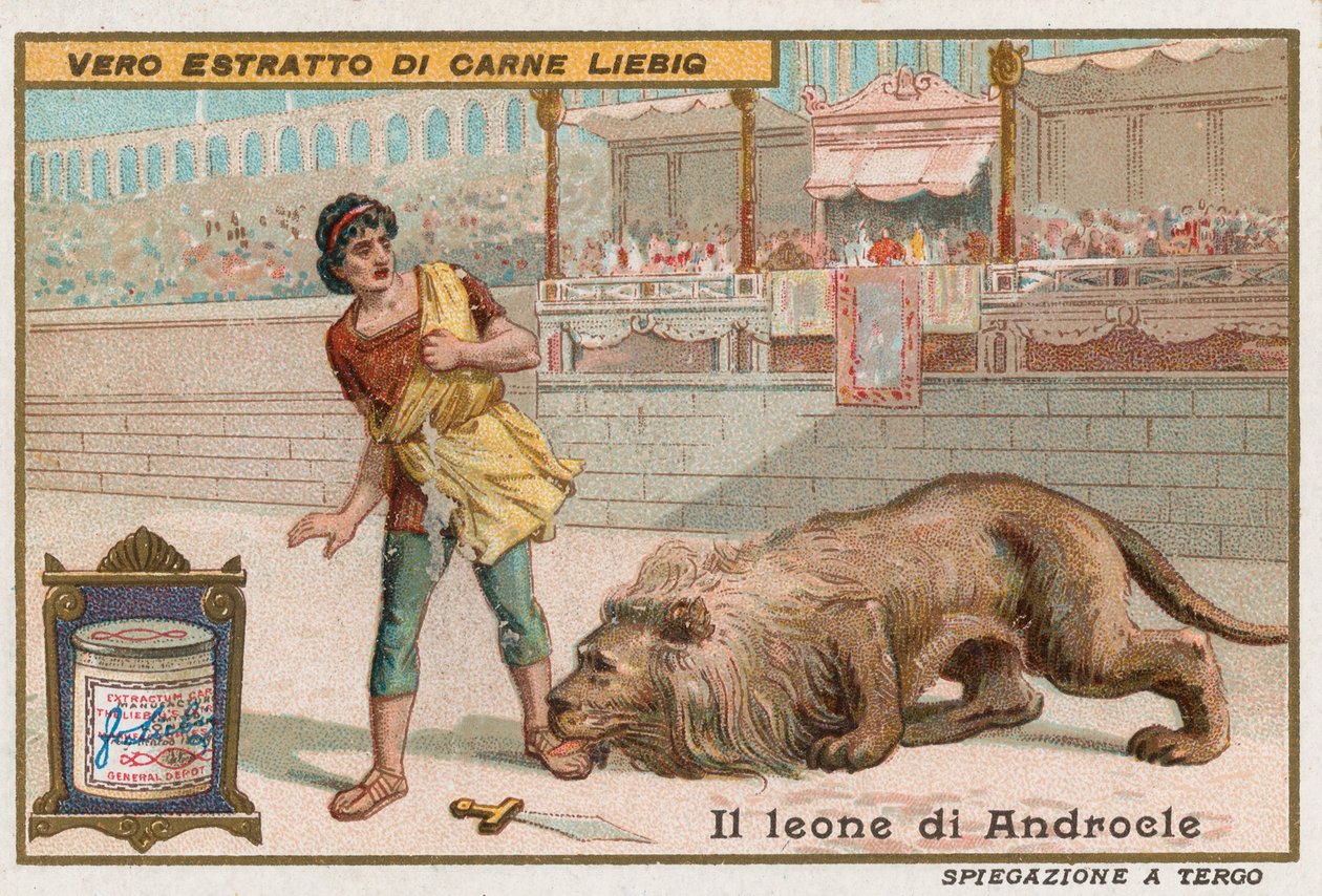 Androcles en de leeuw door European School