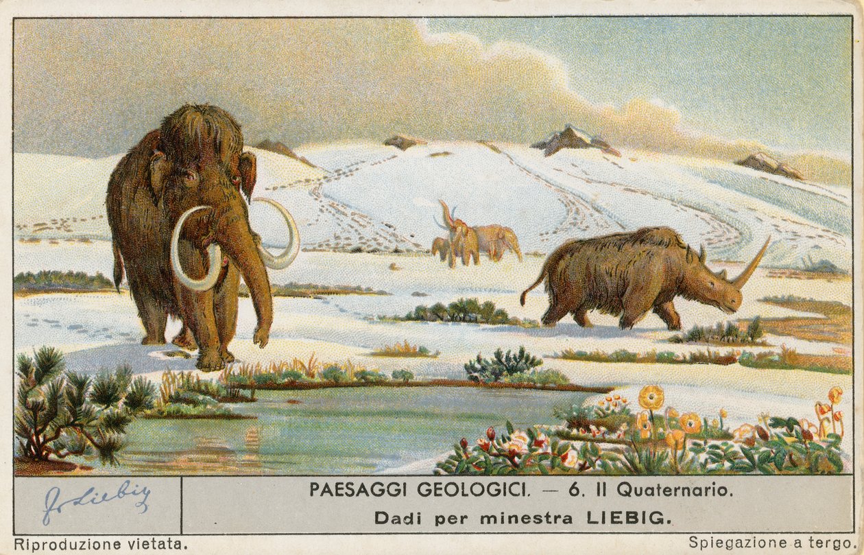 Prehistorische wereld, Liebig-kaart, begin 20e eeuw (chromo) door European School