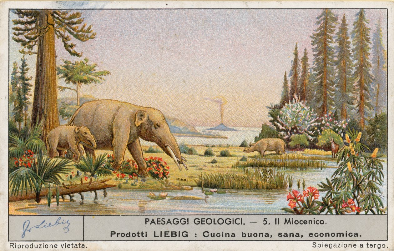 Prehistorische wereld, Liebig-kaart, begin 20e eeuw (chromo) door European School