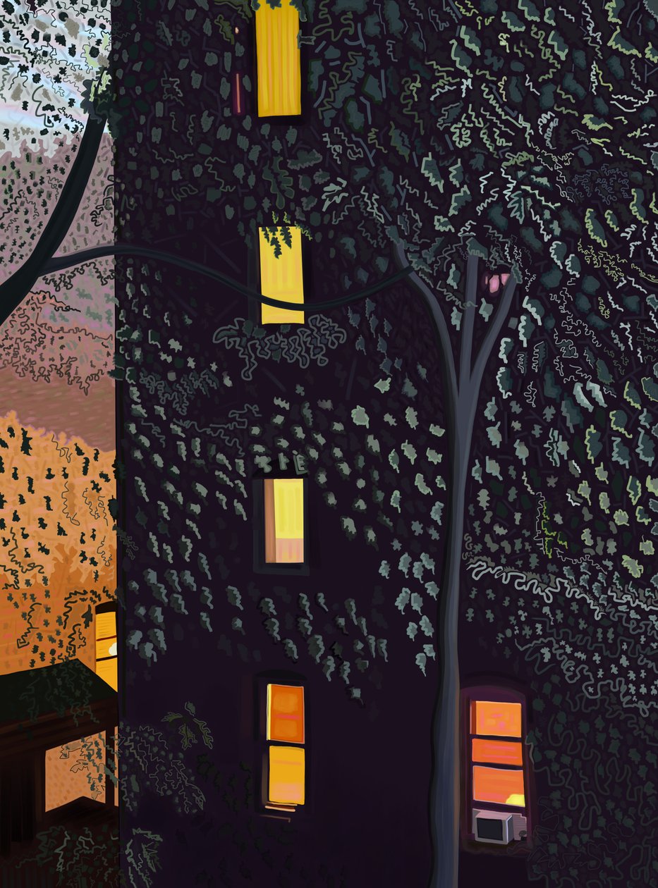 Achterkanten van gebouwen bij nacht Brooklyn (digitale kunst) door Evan Sklar