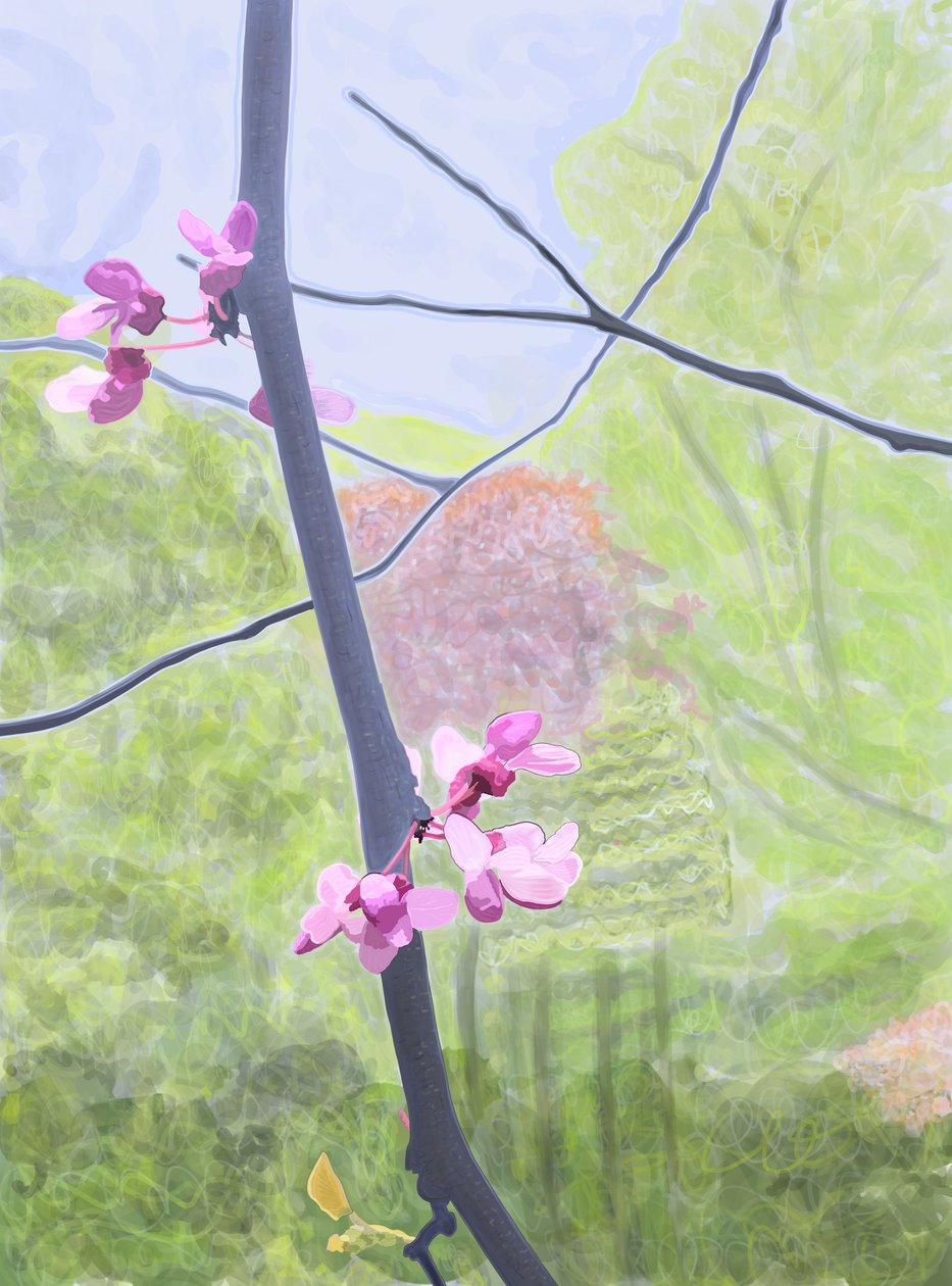 Tak en bloesem (digitale kunst) door Evan Sklar
