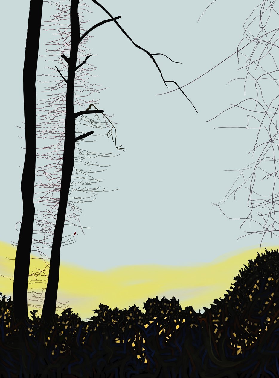 Kardinaal in boom (digitale kunst) door Evan Sklar