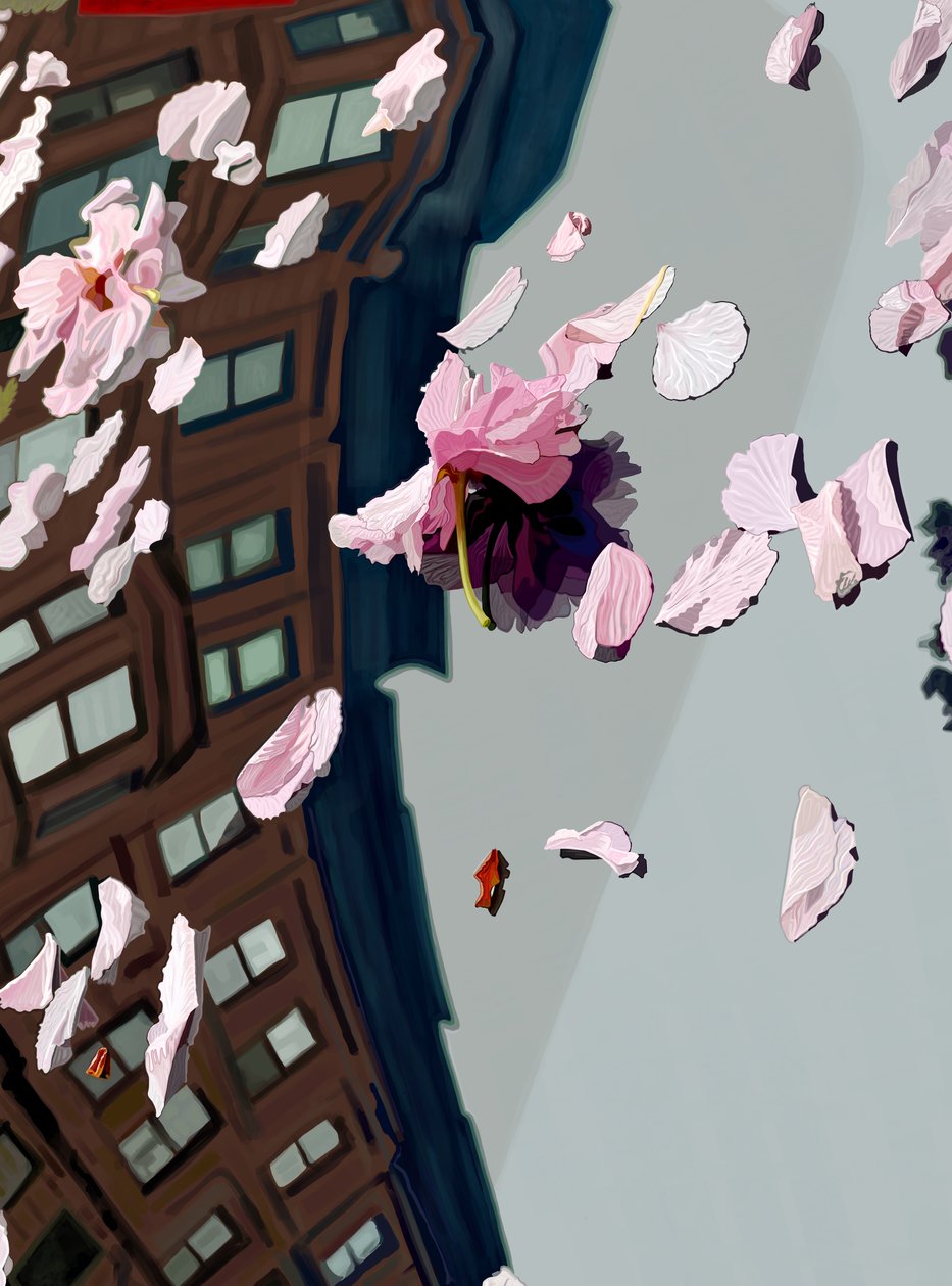 Kersenbloesems geblazen op auto windscherm (digitale kunst) door Evan Sklar