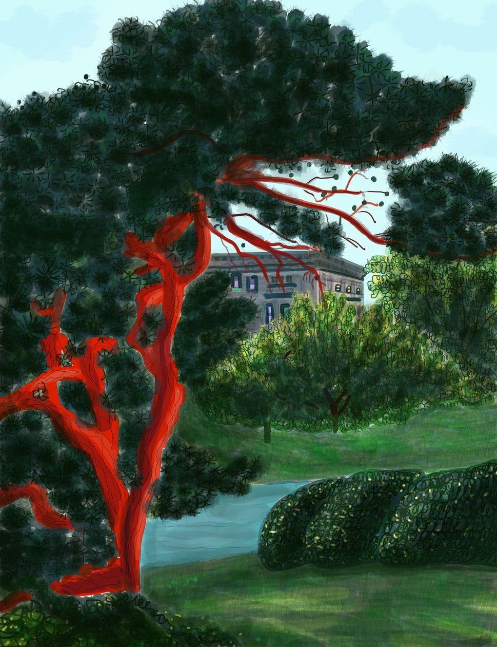 Conifeer in Litchfield Villa, Prospect Park (digitale kunst) door Evan Sklar
