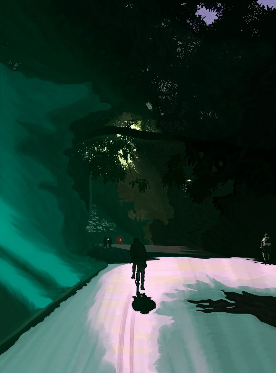 Fietser bij Nght, Prospect Park, Brooklyn, c.2020-24 (digitale kunst) door Evan Sklar