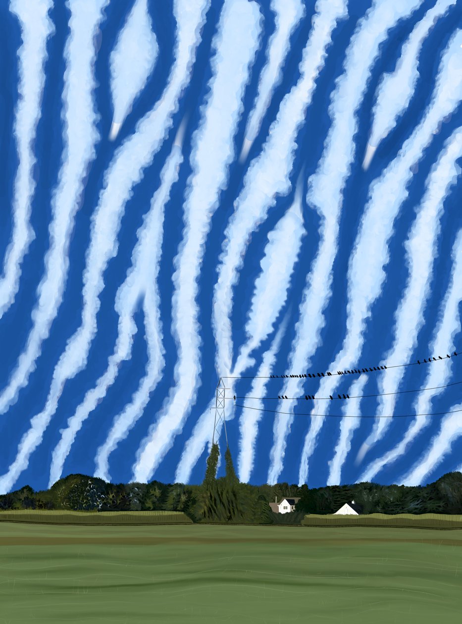 Veld en draden, North Fork, Long Island door Evan Sklar