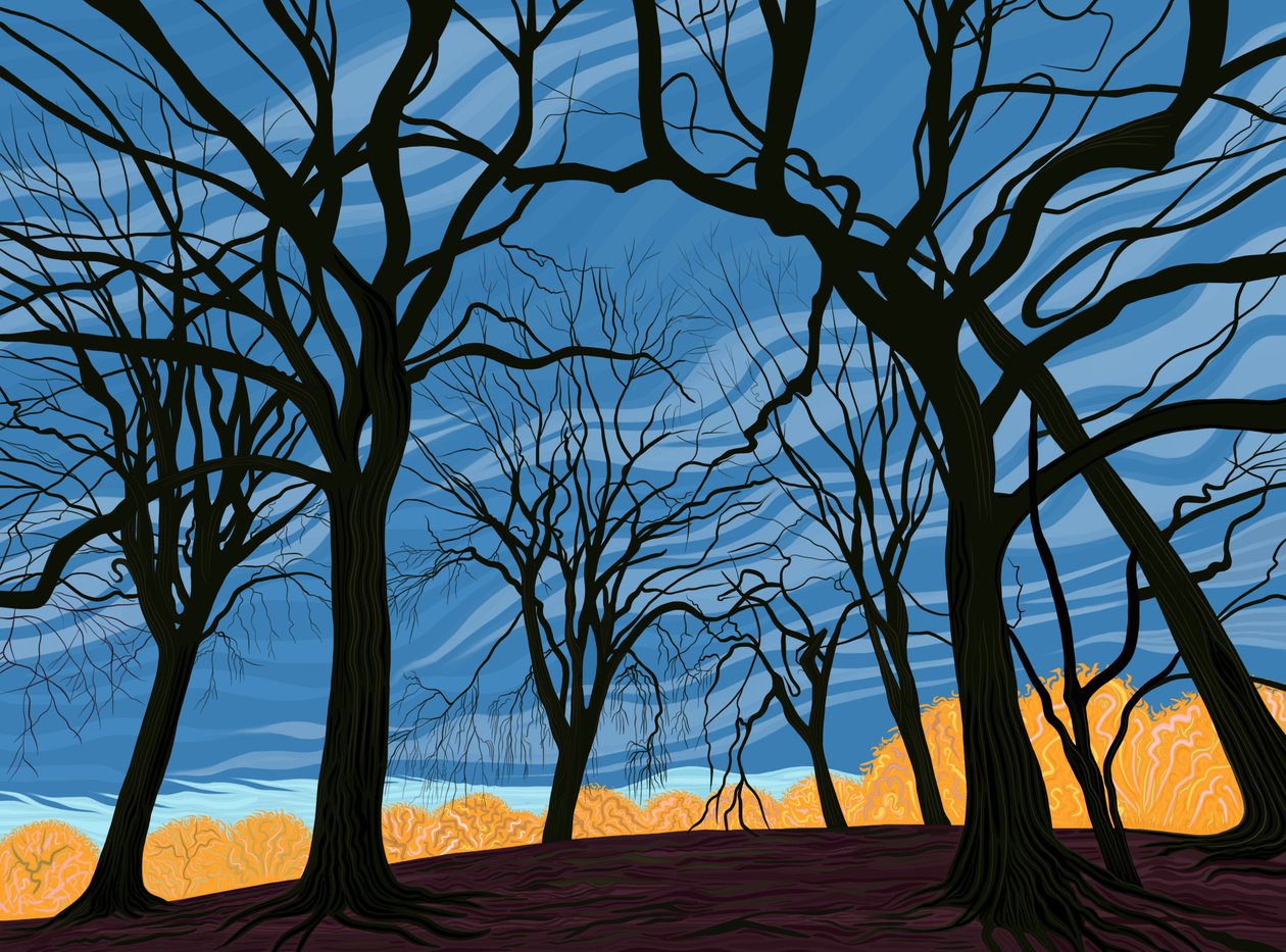 Bosje iepenbomen in de vroege winter (digitale kunst) door Evan Sklar